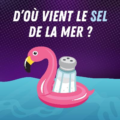 Pourquoi la mer est-elle salée ? 🧂