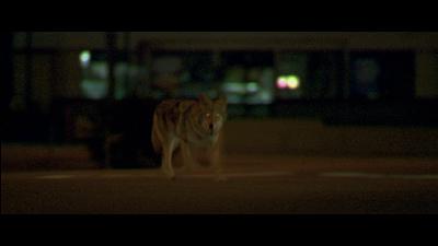 [TEASER] Michael Mann's Collateral (Patreon Raffle #11)