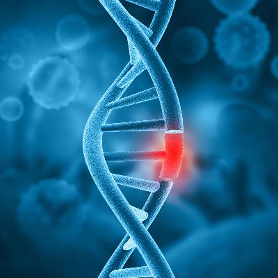 A golpe de bit - El 'reparoma humano', un catálogo de cicatrices en el ADN - 24/10/25