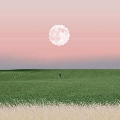 Pronósticos próximos 3 meses Signos de Tierra ♉♍♑