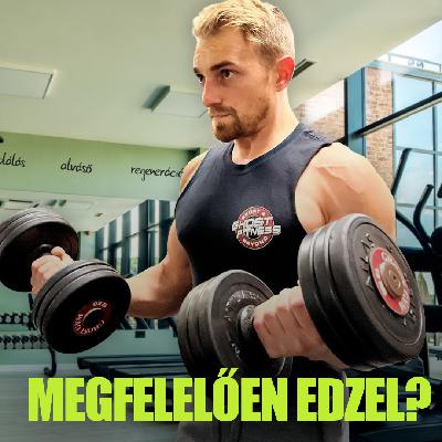 Hogyan lehet folyamatosan fejlődni az edzés során? I GymBeam Hogyan lehet folyamatosan fejlődni az edzés során? I GymBeam