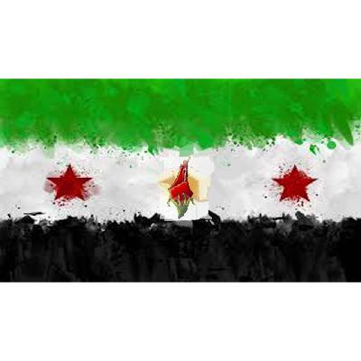 بين ثورة سورية ومحنة فلسطين