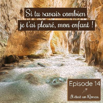 Episode 14 - Voyage au Centre de la Terre Episode 14 - Voyage au Centre de la Terre