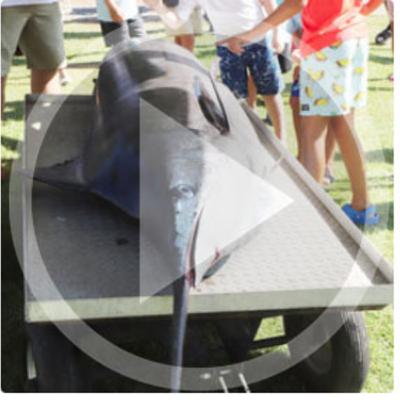 LISTEN: Fishing Report  (06.22.20) Blue marlin, tarpon, red snapper it's all hot