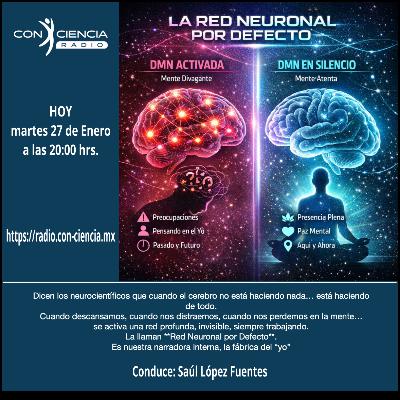 Programa Introspección-Saúl López-La Red Neuronal por Defecto Programa Introspección-Saúl López-La Red Neuronal por Defecto