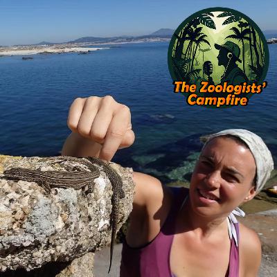 Chasing lizards around the lab and the Mediterranean with Antigoni Kaliontzopoulou