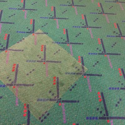 Leftovers: PDX Carpet