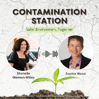Bridging the Knowledge Gap: Dr Sophie Wood on Developing Council Expertise in Contaminated Site Management