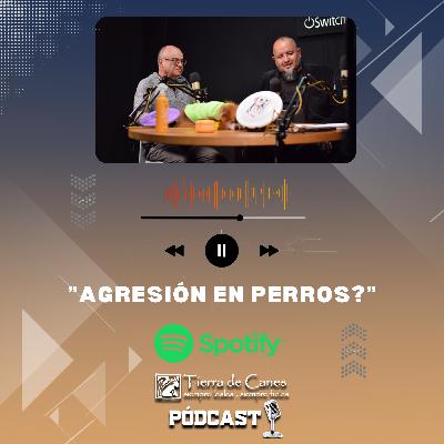 AGRESIÓN EN PERROS