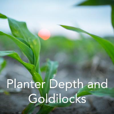 Planter Depth and Goldilocks