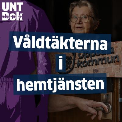 Våldtäkterna i hemtjänsten: Larmen som försvann