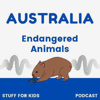 Endangered Australian Animals Endangered Australian Animals