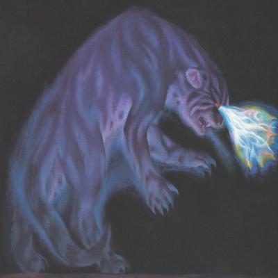 The Psychology of Animals
