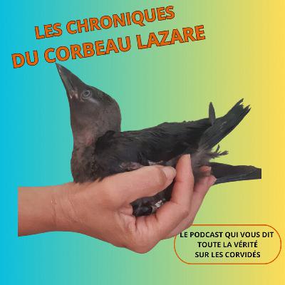Peut-on rendre un oisillon à ses parents après l'avoir touché. Notre odeur est-elle un handicap?