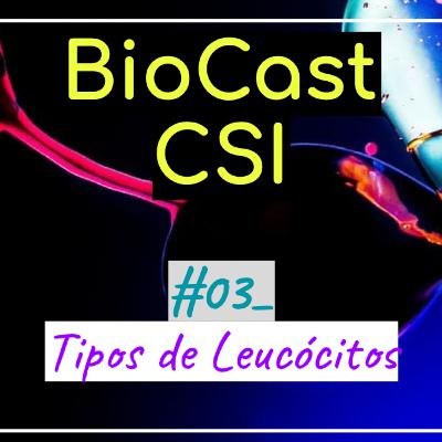 03 - Tipos de Leucócitos