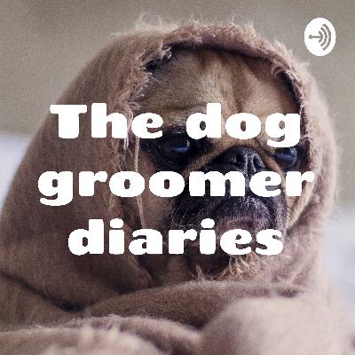 Helping your anxious dog with grooming