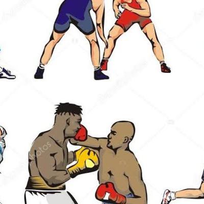Deportes de Combate