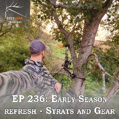 236: Early Season Refresh - Strats and Gear 236: Early Season Refresh - Strats and Gear