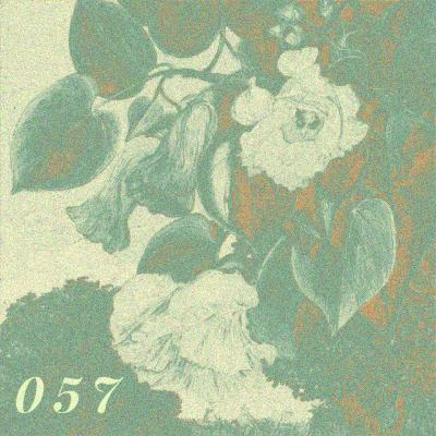 200年前她的探险，让全世界的植物被看见｜057玛丽安娜·诺斯