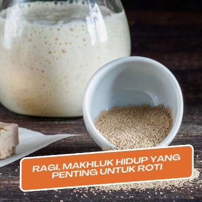 Episode 103 - Ragi, Makhluk Hidup Penting pada Roti, Ini Penjelasannya.
