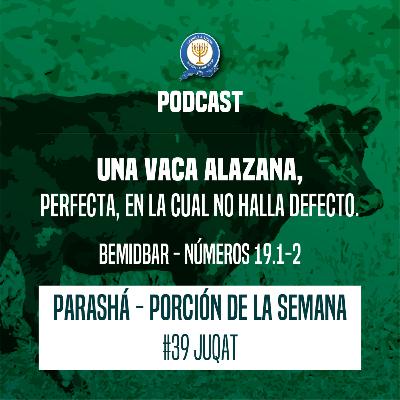 UNA VACA ALAZANA, PERFECTA, EN LA CUAL NO HALLA DEFECTO. UNA VACA ALAZANA, PERFECTA, EN LA CUAL NO HALLA DEFECTO.