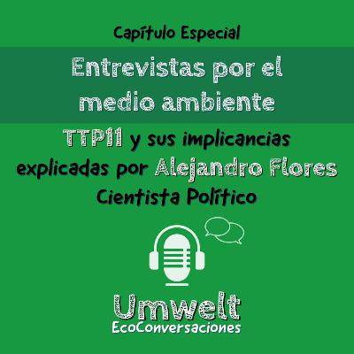E4 - "Entrevista" : El TPP 11 y sus implicancias explicadas por Alejandro Flores