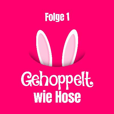 Choco Carnell und die Angst vorm Fön Choco Carnell und die Angst vorm Fön