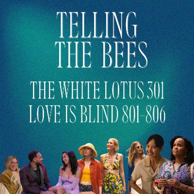 Love is Blind S8/The White Lotus 301- Identity is a Prison