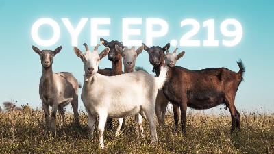 OYF Ep. 219 Tiny Goats, Coffee Tables and Tulsa King