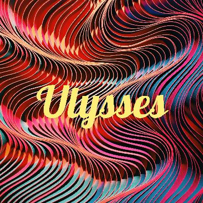 Vox Pop: The Reader’s Journey