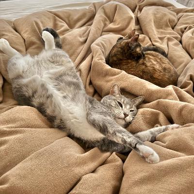 Ep.25｜我在靈魂的加護病房裡拒打麻醉