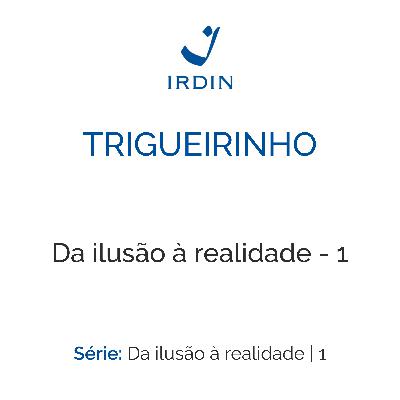 Da ilusão à realidade - 1