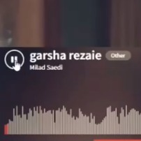 Garsha Rezaie- zanjir