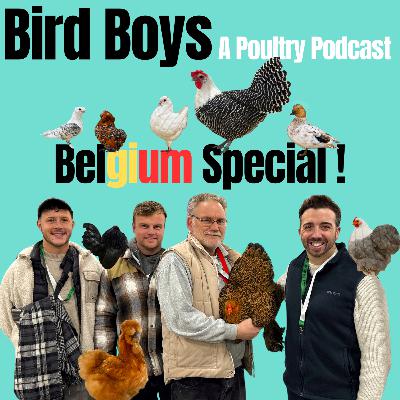 BirdBoys Back on Tour: Belgium! BirdBoys Back on Tour: Belgium!