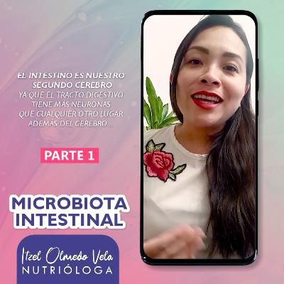 La Microbiota Intestinal - Parte 1