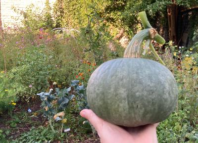 Episode 21: Ripen the fruits you have