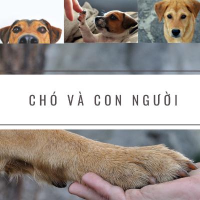#16 Chó và con người | Vietnamese Shadowing | Học Tiếng Việt