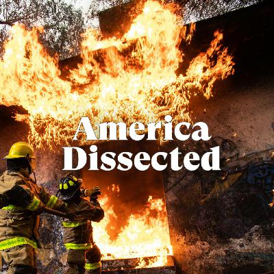 LA Fires. Bird Flu Updates. And Ultra-Processed Foods.