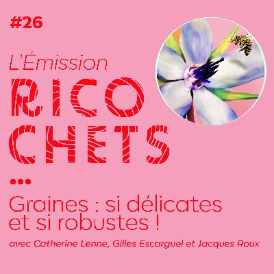 Ricochets#26 : Graines, si délicates et si robustes ! Ricochets#26 : Graines, si délicates et si robustes !