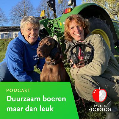 Zomerspecial-E5: Welwillendheid versus diep wantrouwen tegen de overheid