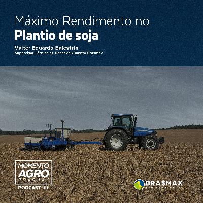 Momento AGRO Brasmax #13 - Máximo rendimento no plantio de soja