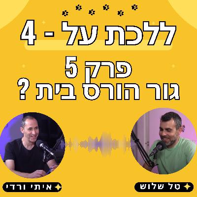 פרק 5 - איך ללמד גור לא להרוס את הבית - טל שלוש ואיתי ורדי מאלפי כלבים בכירים פרק 5 - איך ללמד גור לא להרוס את הבית - טל שלוש ואיתי ורדי מאלפי כלבים בכירים