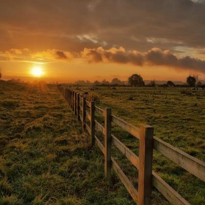 Sunny Mornings -SAMATHI