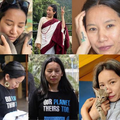 “Aha!” Moments with Tenzin Quilling