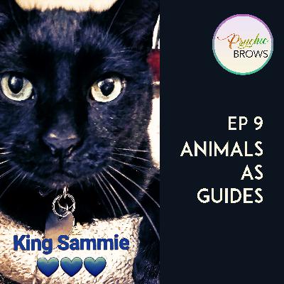 Have you ever had an alien cat as a guide?