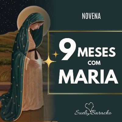 Novena 9 meses com Maria 113⁰ dia