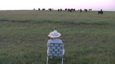 673. Serenading the cattle with a trombone - BestofYouTube.com