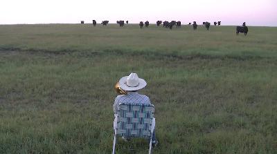 673. Serenading the cattle with a trombone - BestofYouTube.com