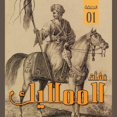 نشأة المماليك