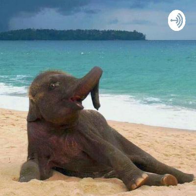 الدواء طعمه سيء لكن لابد منه الدواء طعمه سيء لكن لابد منه